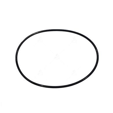 Кольцо круглого сечения 320-330-58-2-2 (330х5,7) EXL фото | Інтернет-магазин АРТІ