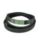 Пас зубчастий 1001436 (D41981100) OPTIBELT