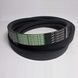 Ремінь багатоклиновий AP1004508 (554087.0) OPTIBELT