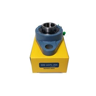 Корпус із підшипником UCFL205 EBS (Німеччина)
