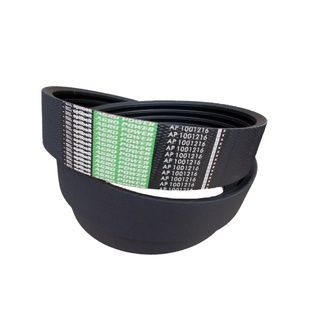 Пас привідний 1001216 OPTIBELT (400427A1)