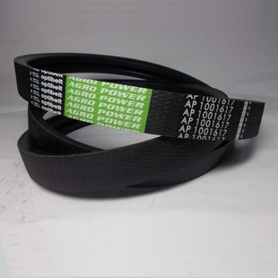 Пас привідний 1001617 OPTIBELT (6201363)