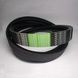 Ремінь багатоклиновий AP1001765 (80424563) OPTIBELT