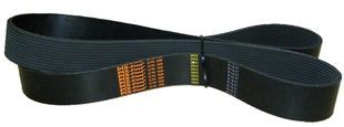 Пас поліклиновий 12 PK 1830 PIX
