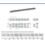 Цепь приводная роликовая ПР-15,875-2300-2, ISO 10В-1 SS (5 м)