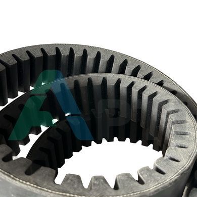 Пас зубчастий 1004897 (744965.0) OPTIBELT
