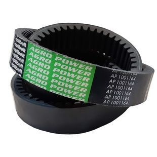 Ремень зубчатый 1001164 OPTIBELT (DF 069791)
