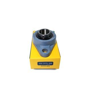 Корпус із підшипником UCFL206 EBS (Німеччина)
