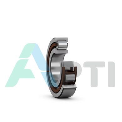 Підшипник NJ213 ECP SKF