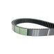 Ремень вариаторный зубчатый AP1001450 (905920M1) OPTIBELT