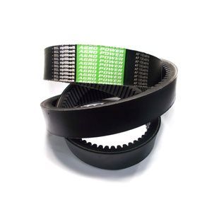 Пас зубчастий 1004898 OPTIBELT (87301455)