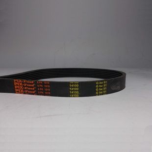 Пас поліклиновий 6РК-1019 LЕ PIX