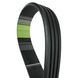 Ремень многоручьевой AP1005033 (84175582) OPTIBELT