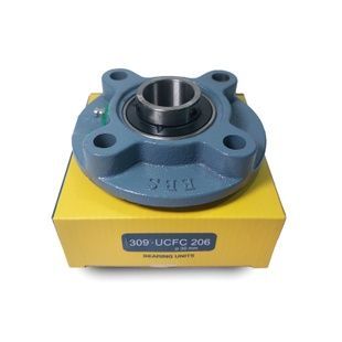 Корпус із підшипником UCFC206 EBS (Німеччина)