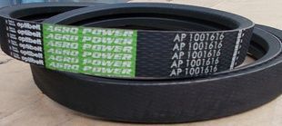 Пас привідний 1001616 OPTIBELT (87330903)