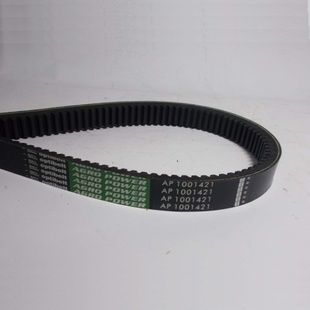 Пас зубчастий 1001421 (84073979) OPTIBELT