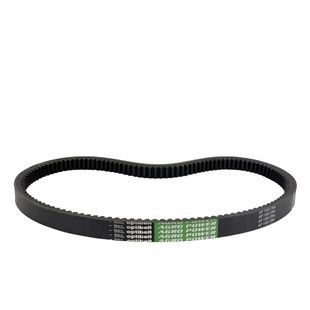 Ремень зубчатый 1003583 / 1001396 OPTIBEL (Z20459; Z41178)